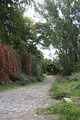 ndh_10_2012- (6)